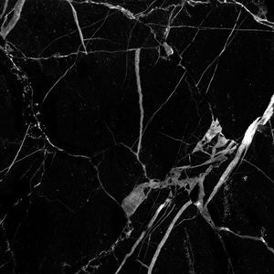 Meet your Posher, Gracyn